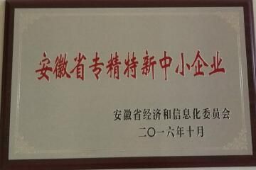 安徽省專(zhuān)精特新中小企業(yè)