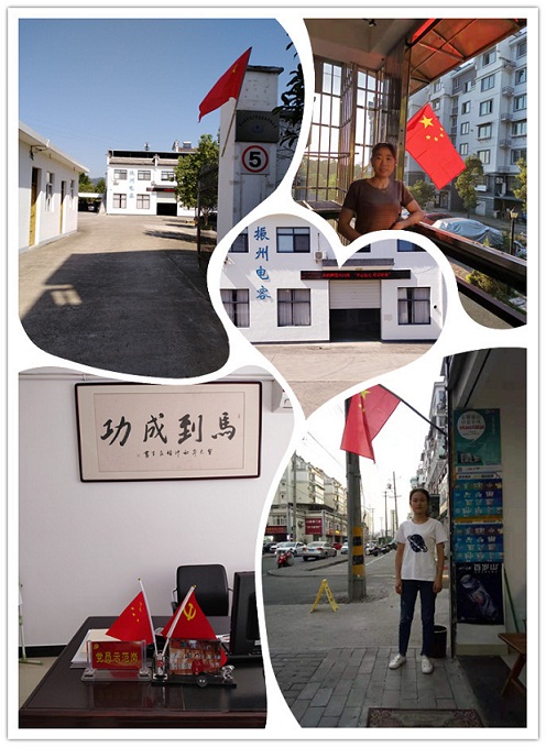 組織黨員開展“祖國(guó)在我心中，國(guó)旗在我家中”愛國(guó)主題活動(dòng)