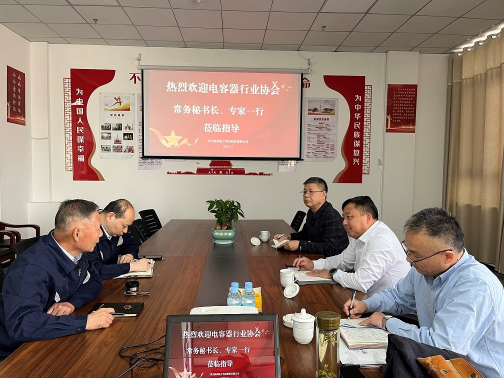 中國電子元件行業(yè)協(xié)會電容器分會副秘書長凌建民一行深入黃山振州考察調(diào)研